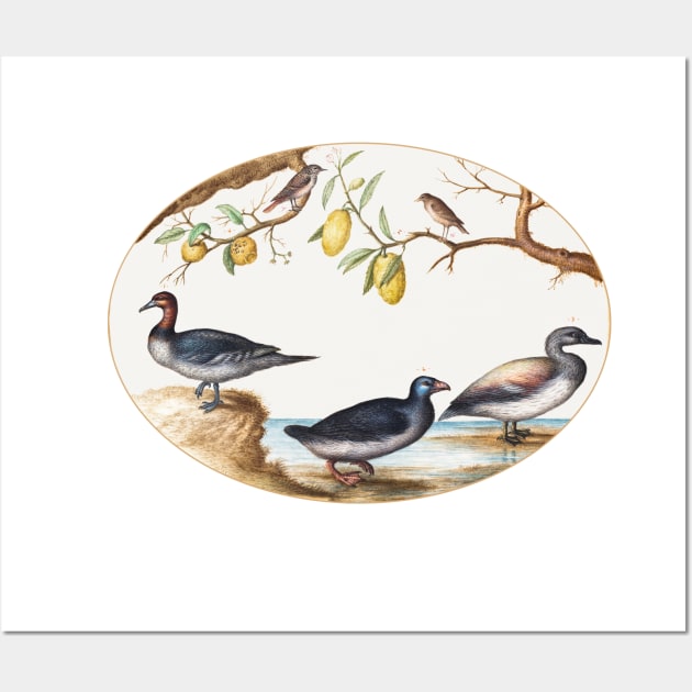 Three Waterfowl with Two Birds Perched in Citrus Trees (1575–1580) Wall Art by WAITE-SMITH VINTAGE ART